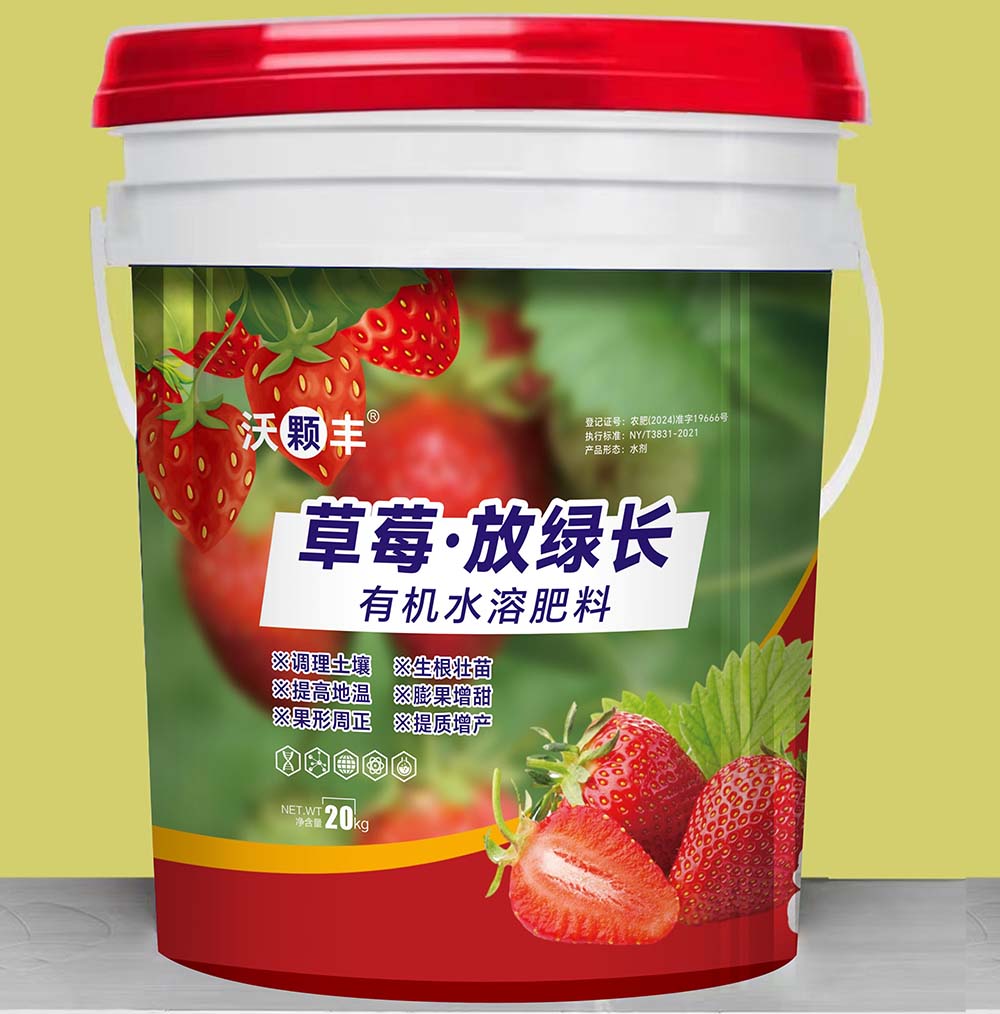 草莓·放綠長(zhǎng)有機(jī)水溶肥料20Kg